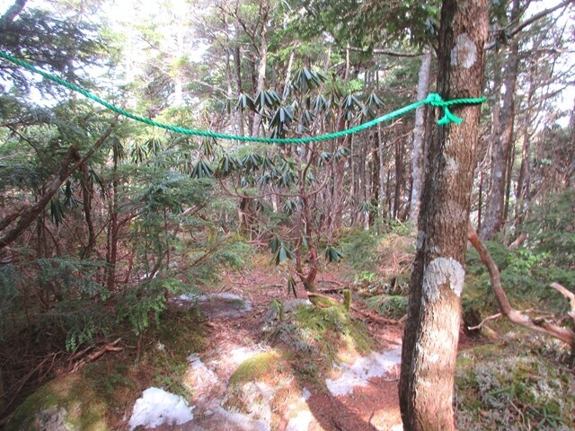 松ネッコ登山口の様子