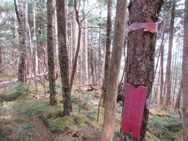 松ネッコへの登山ルート上の境界見出標