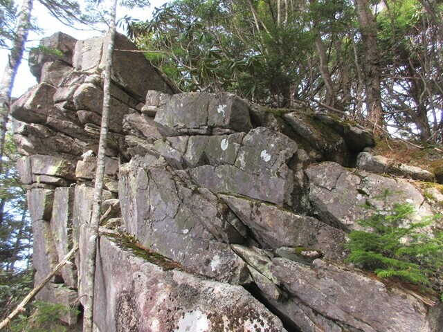松ネッコの石垣の様な岩