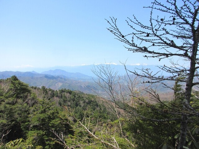 小川山から松ネッコ、横尾山へのルート上からの南アルプスの景色