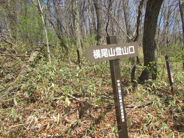 横尾山の登山口