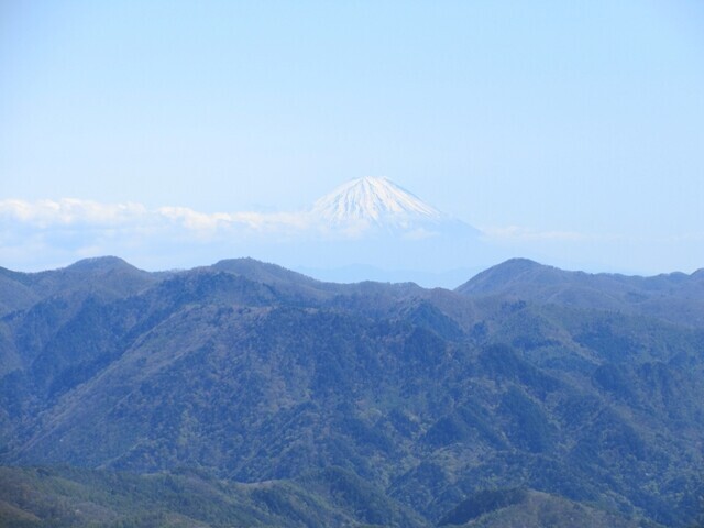横尾山の登山ルートから富士山の景色