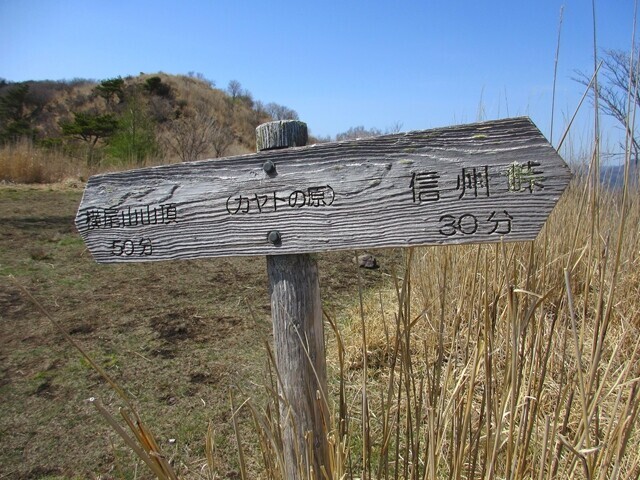 横尾山のカヤトの原
