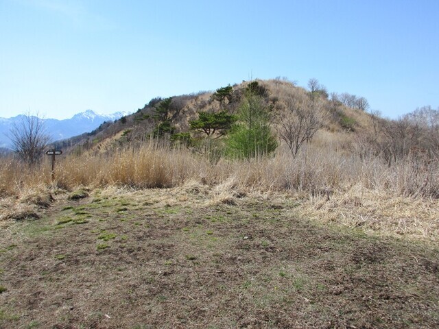カヤトの原