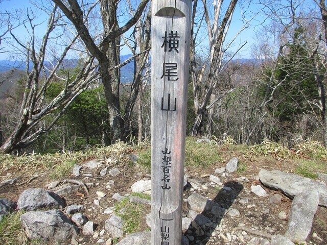 山梨百名山横尾山山頂