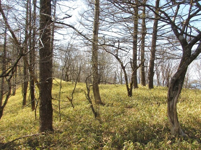 飯盛山への辛い登り返しのある木賊ノ頭登山の様子