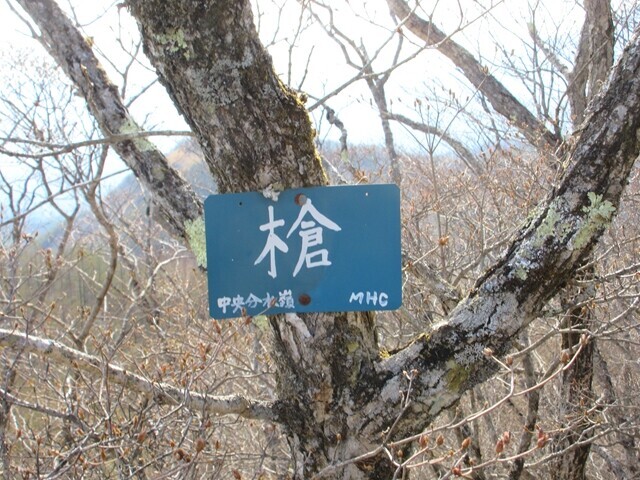 槍