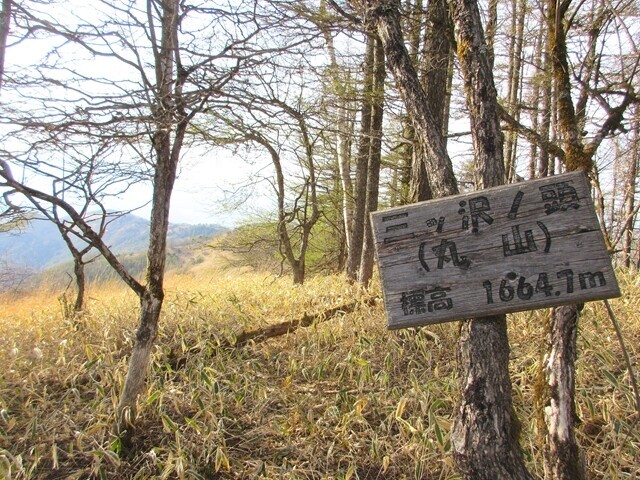 三ッツ沢ノ頭（丸山）の山頂
