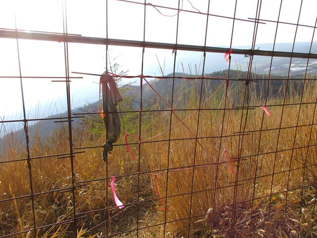 三ッツ沢ノ頭（丸山）からはフェンスの横に通っている登山道がある様子