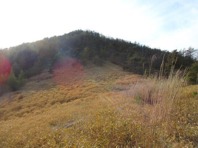 大盛山への登山ルート詳細