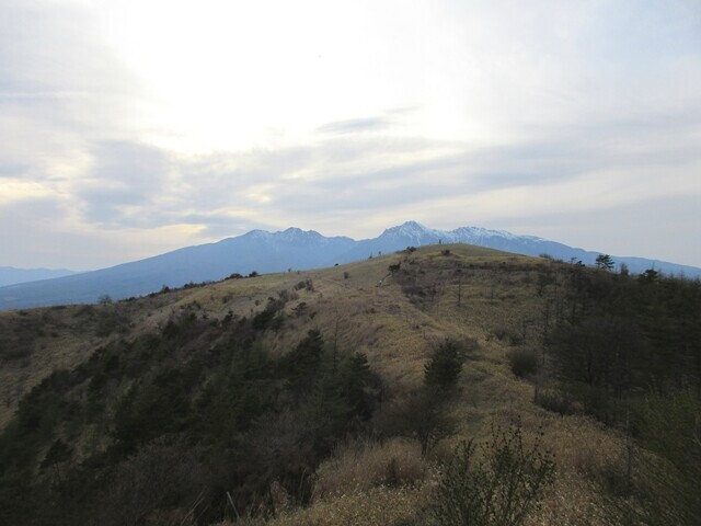 く目指す大盛山の山頂の景色