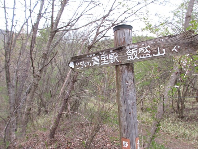飯盛山、清里駅への分岐