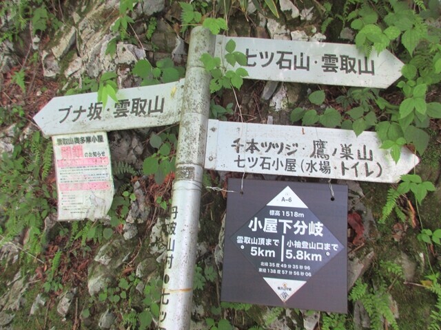 七ツ石山と五十人平野営場分岐地点