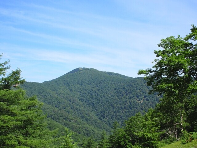 七ツ石山からの雲取山の景色