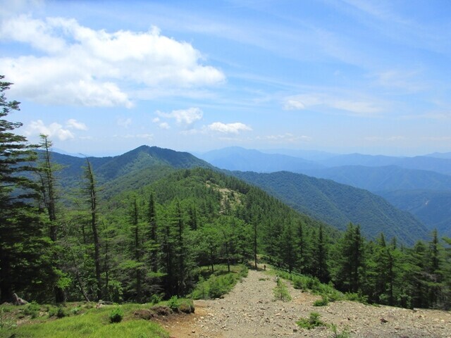 雲取山方面から振り返っての五十人平野営場の景色