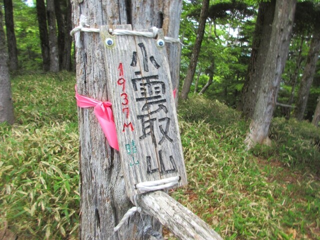 小雲取山