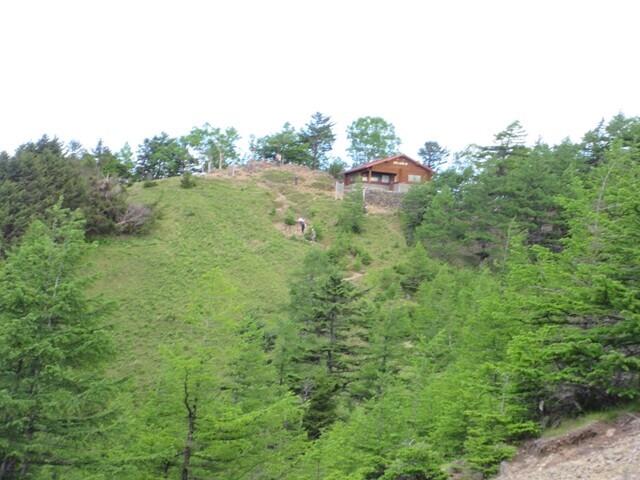 目指す雲取山の山頂