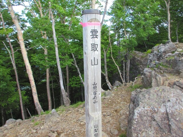東京都最高峰である雲取山の山頂