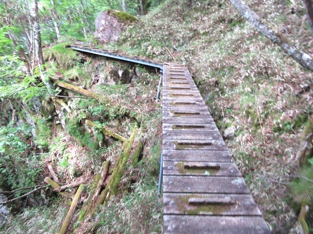 飛龍山（大洞山）の登山ルートは「蜀の桟道」のよう登山コース