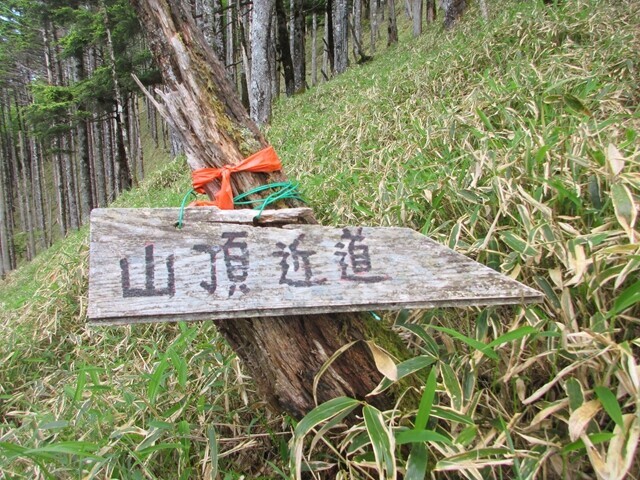 飛龍山の山頂への近道
