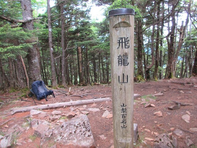 飛龍山の山頂
