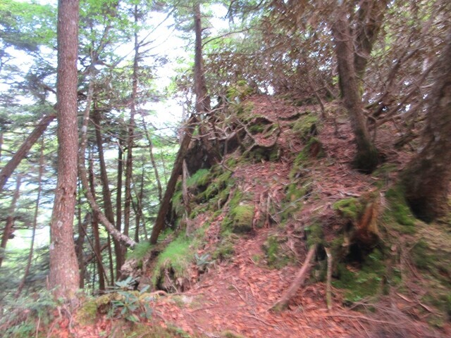飛龍山北尾根ルート