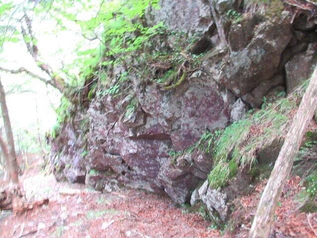 飛龍山北尾根ルートの目印になる大岩