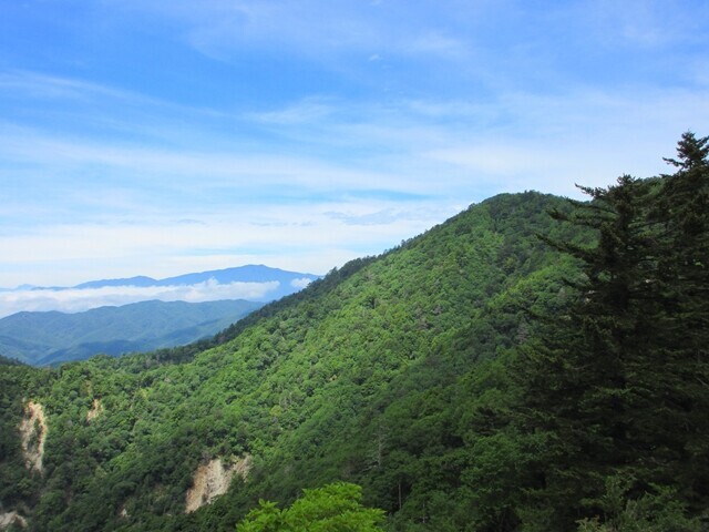 飛龍山北尾根からの大常木山、唐松尾山方面景色