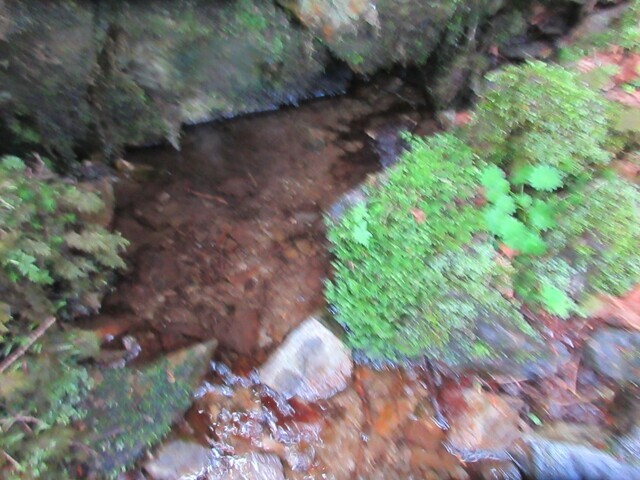飛龍山の水場