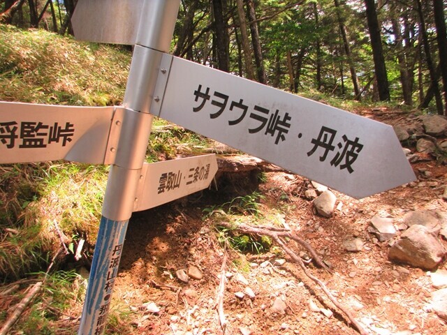 飛龍山と前飛龍山の分岐