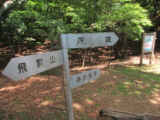飛龍山と三条の湯との分岐地点であるサオラ峠