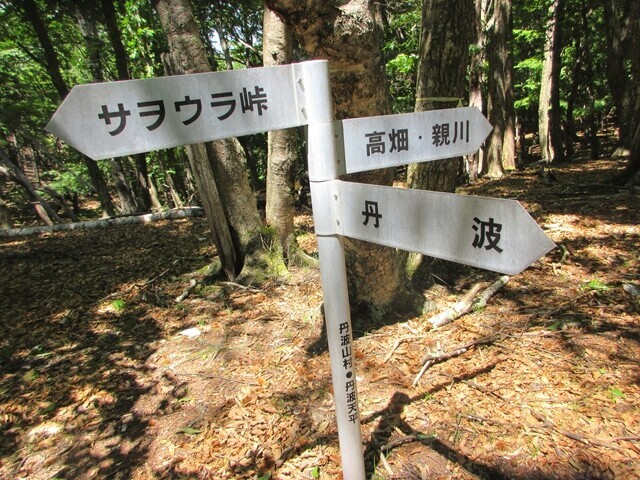 丹波天平の山頂の様子