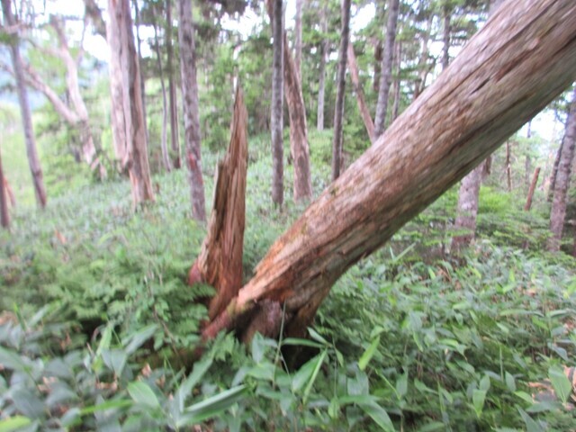 佐武流山登山道場にある土舞台