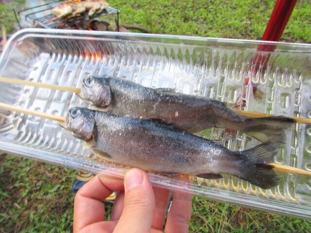 高ボッチ高原近くのスーパーで購入した川魚
