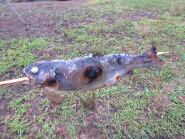高ボッチ高原で焼いた川魚レビュー