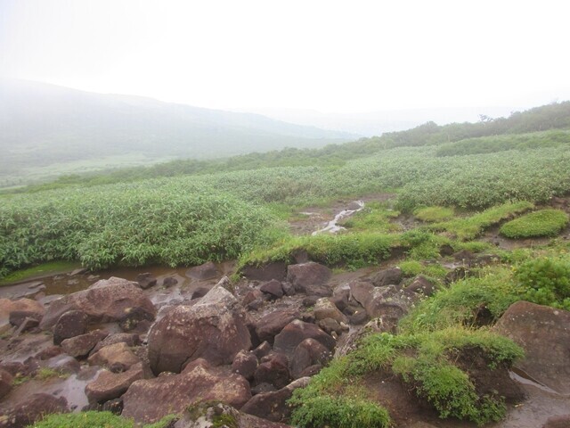 双子池キャンプ指定地と水場