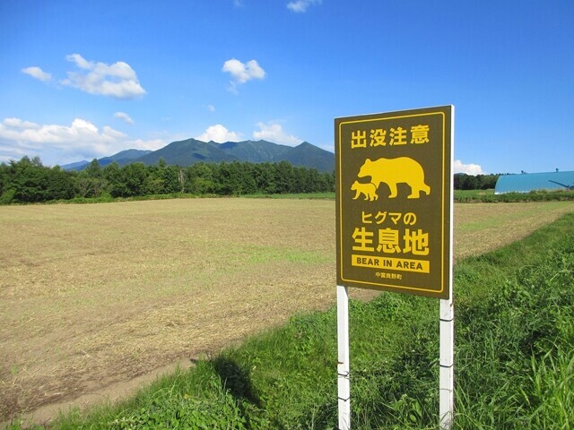 星に手が届く丘キャンプ場周辺のヒグマ出没注意の看板