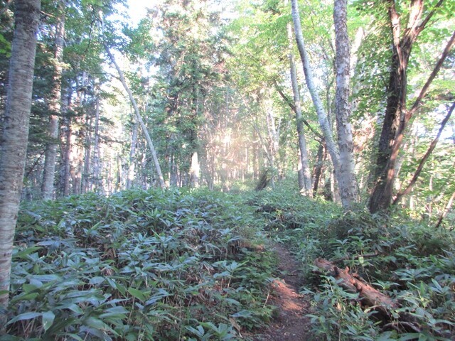 芦別岳への登山のスタートの様子