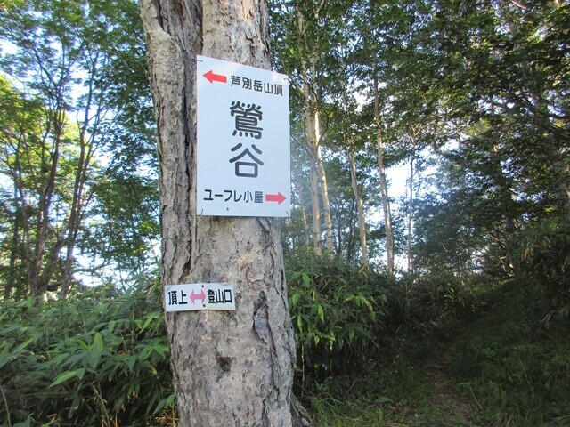 芦別岳の鶯谷分岐