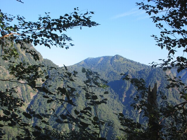 鶯谷から半面山への登山ルート詳細