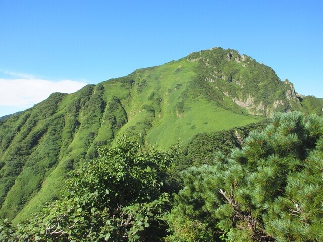 熊の沼から芦別岳山頂への登山ルート詳細