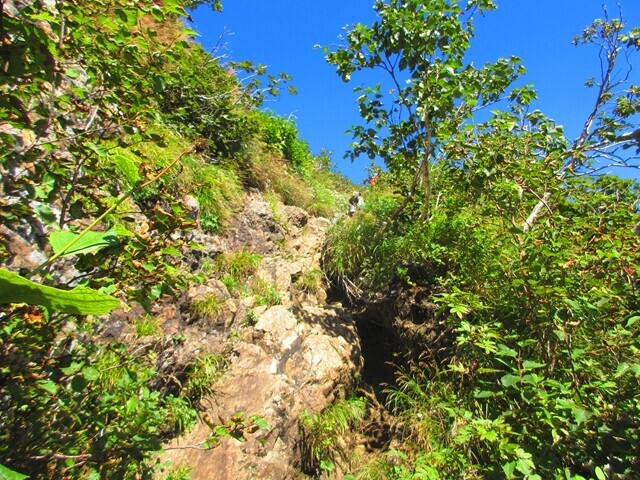 芦別岳の山頂付近滑落要注意箇所
