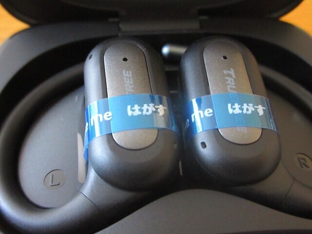 TRUEFREE EarFit DS1ワイヤレスイヤホンの初期設定のやり方