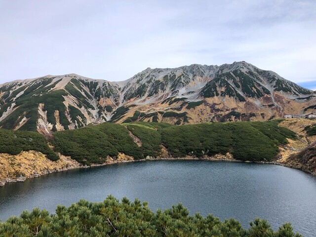 みくりが池でツキノワグマが泳いでいた場所