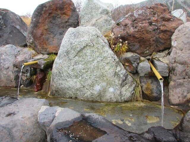 玉殿の湧水（水場）を飲んでいる様子