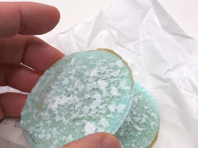江出の月の表面の様子