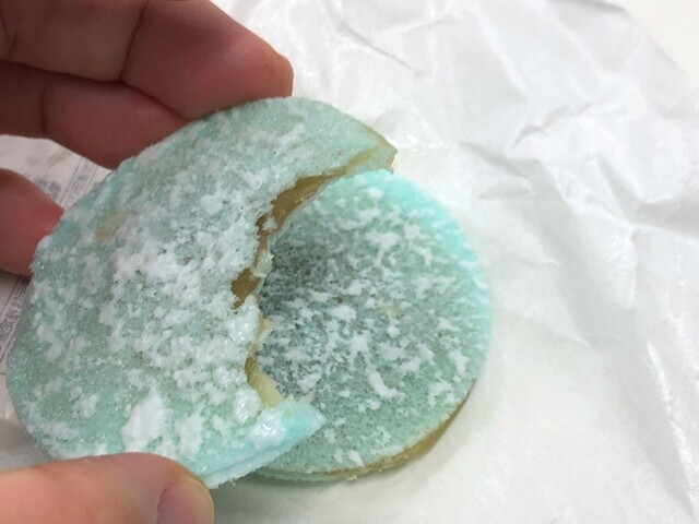 江出の月を美味しく食べている様子