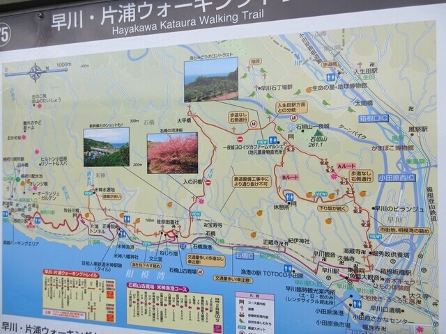 ヒルトン小田原周辺の観光案内