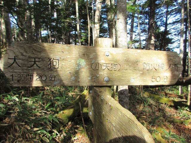 県界尾根に鎮座する小天狗に到着の様子