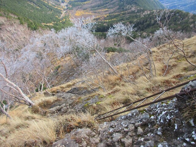 県界尾根の核心部の1つである梯子をこなした後の様子